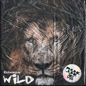 Wild (Original Mix)