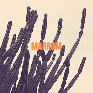 Marrom