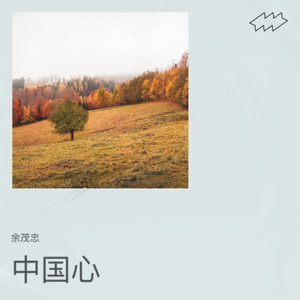 我是中國人