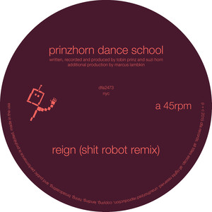 Reign (Shit Robot Remix)
