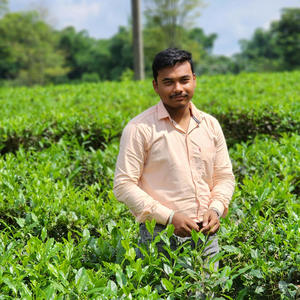 Too Meree Romaantik Too Meree Aavaaz