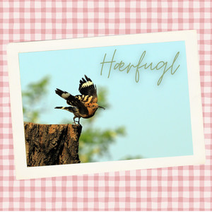 Hærfugl