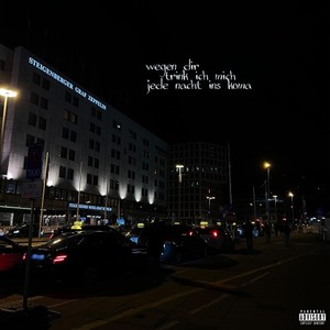 wegen dir trink ich mich jede nacht ins koma (Explicit)