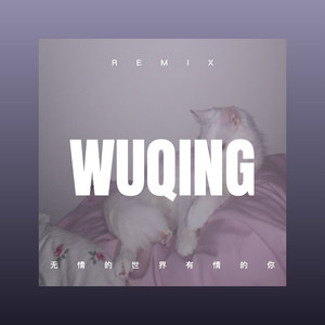 别扯没用的 (Remix)