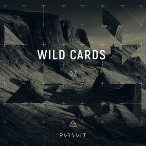 Wild Cards 03