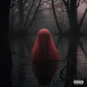 WILD DREAM (feat. LMGMADEIT)