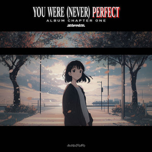 YOU WERE (NEVER) PERFECT: ALBUM CHAPTER ONE