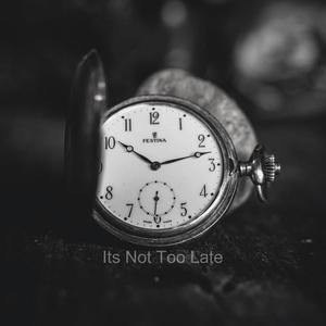 Its Not Too Late (feat. Michael Tux)