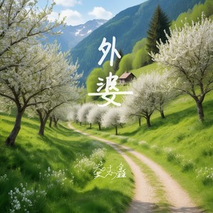 外婆 (龚志鑫纯享版伴奏)