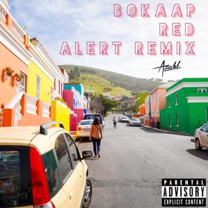 Bokaap Revisted Excursion (feat. Beat Bangaz & Youngstacpt) [Explicit]