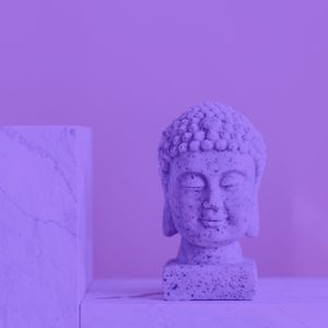 诗意的排毒节奏