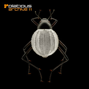 Hidden Sun Of Venus (Oliver Lieb Remix)