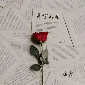 见字如面