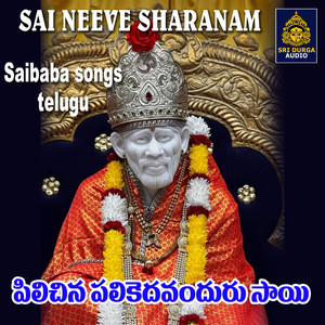 Pilichina Palikedavanduru Sai