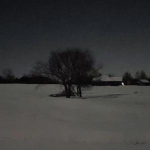 loser <3 ivri cover (Explicit)