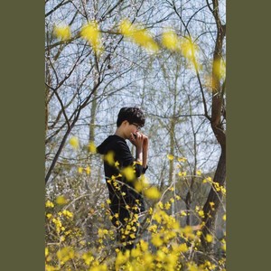 Despacito十孔口琴