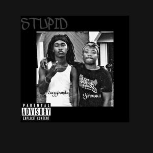 STUPID (feat. YTN MARII) [Explicit]