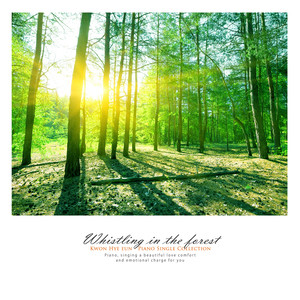 숲 속의 휘파람 (Whistling in the woods)