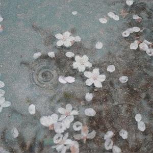 Bloom (feat. bbdalena)