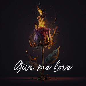 Give Me Love