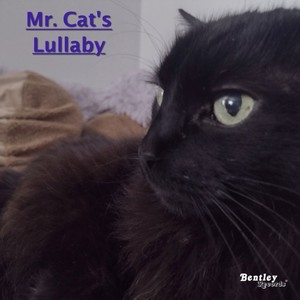 Mr. Cat's Lullaby