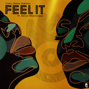 Feel It (feat. Nelson Nhachungue) (Original Mix)