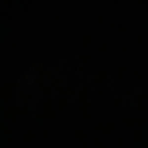 Moonlight (Explicit)