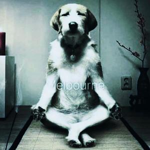 Drank (feat. LIL D & Looney ae sin) (Explicit)