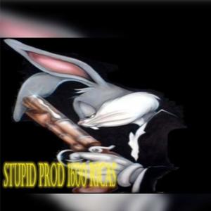 stupid (feat. ricas & 1600) [Explicit]