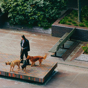 I Don't Need Your Love