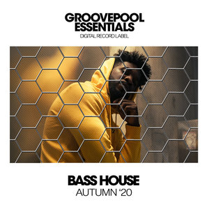 Vamous (Bass House VIP Mix)
