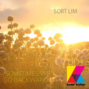 Sometimes We Go Backwards