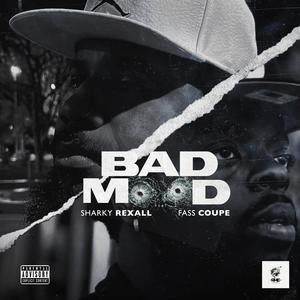 Bad Mood (feat. FassCoupe) (Explicit)