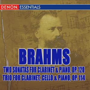 Sonata No. 1 in F Minor, Op. 120, No. 1 - II. Andante, un poco adagio