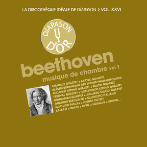 Piano Quartet (No. 2) in D Major, WoO 36/2 - Piano Quartet (No. 2) in D Major, WoO 36/2: II. Andante con moto