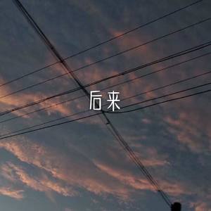 刘若英-后来 (Remix|JIN-洋洋 remix)