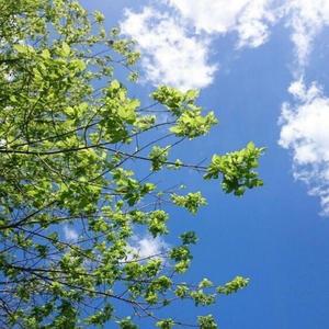 Tell you what you wanna hear