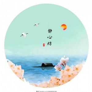 琵琶吟 (DJ长音频)封面