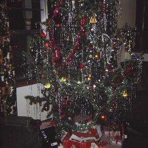 kill me in december (Explicit)