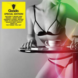 The Things You Say (Mr Miyagi Remix)