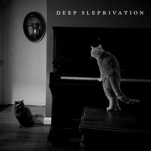 Deep Sleprivation