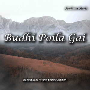 Budhi Poila Gai