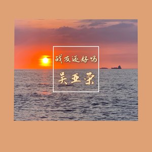 战友还好吗 (伴奏)