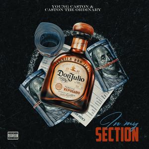 In My Section (feat. Ca$ton The Ordinary) [Explicit]