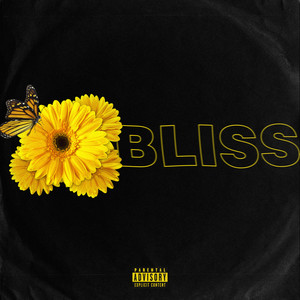 BLISS (Explicit)