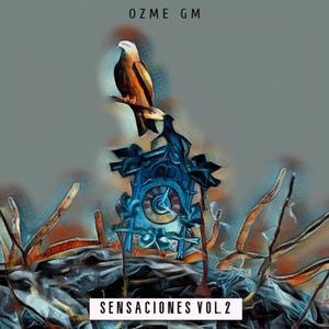 Sensaciones, Vol. 2 (Explicit)