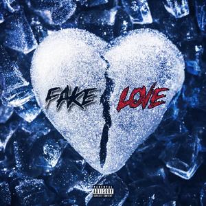 Fake Love (Explicit)