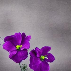 Trail Of Tearz (Explicit)