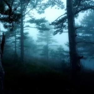evergreen (feat. RoseAngeles)
