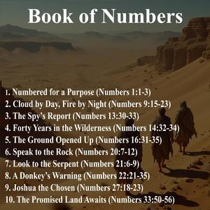 Numbered for a Purpose